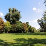 Amstedam