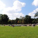 Amstedam