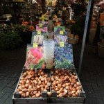 Amsterdan