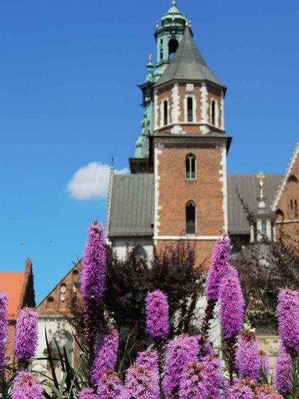 Castelo de Wawel