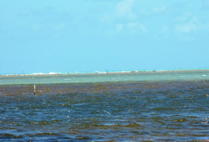 Encontro das águas do mar com o Rio Tatuamunha
