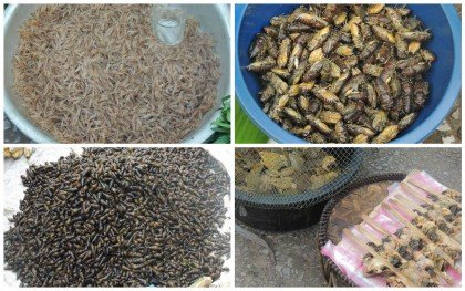 impressões-de-Luang-Prabang-20