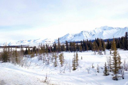 Roadtrip no Alaska-5
